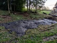 20250927_183924 (1024x768).jpg